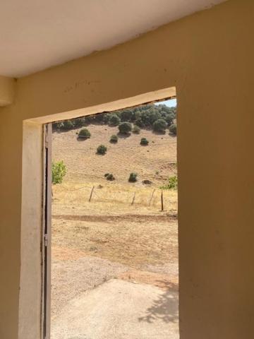 Gite Cedre Gouraud Ξενοδοχείο Azrou Εξωτερικό φωτογραφία